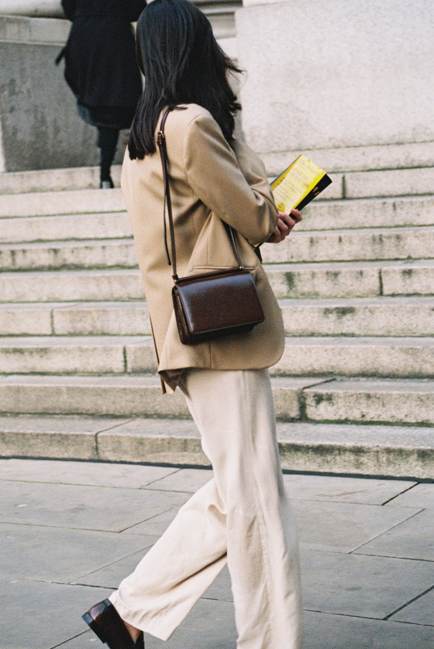 SAC PAUMELLE MINI BROWN