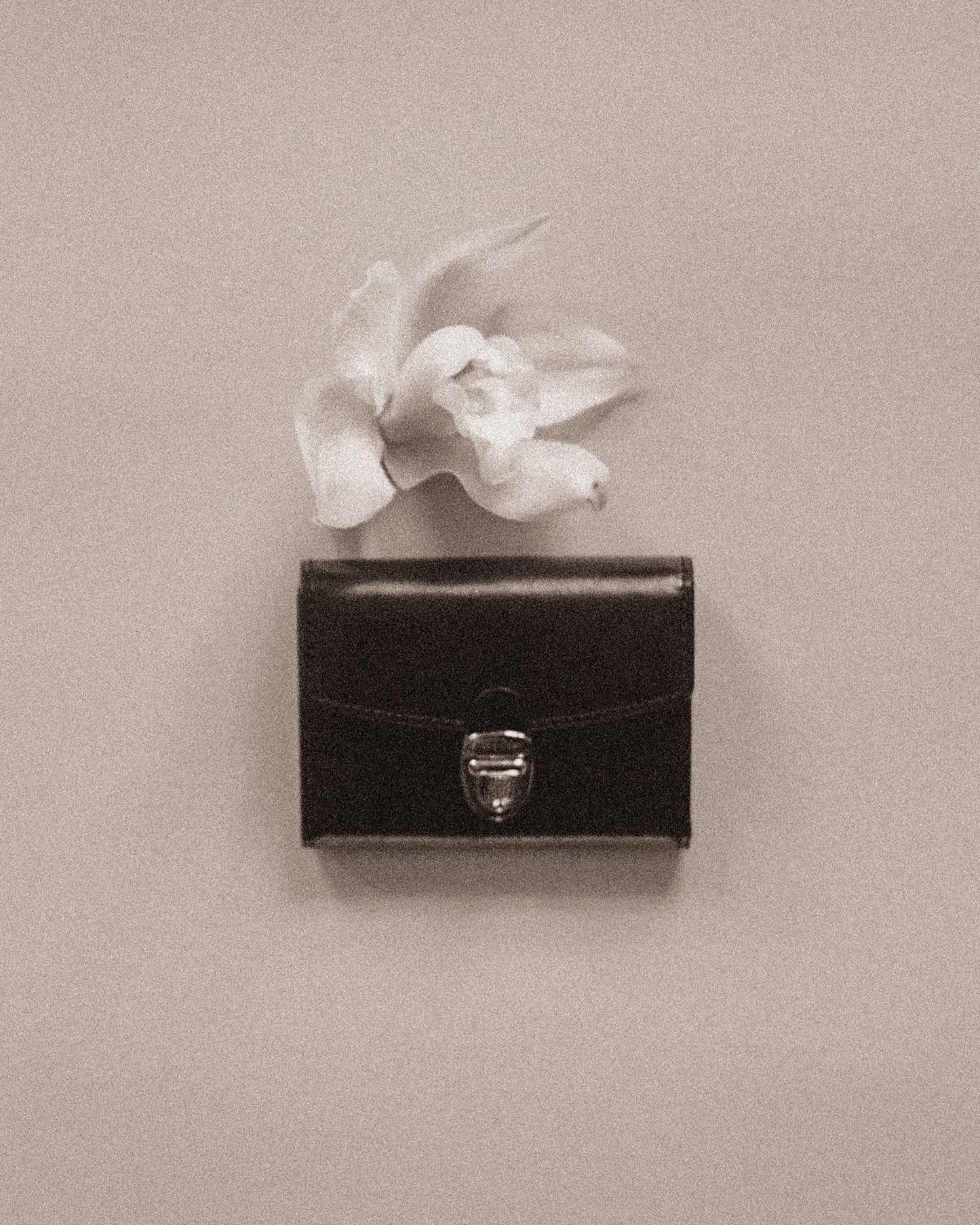 PORTE CARTES LOQUET BLACK