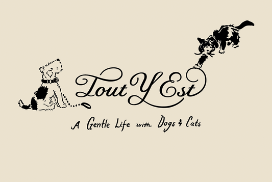 A Gentle Life with Dogs & Cats