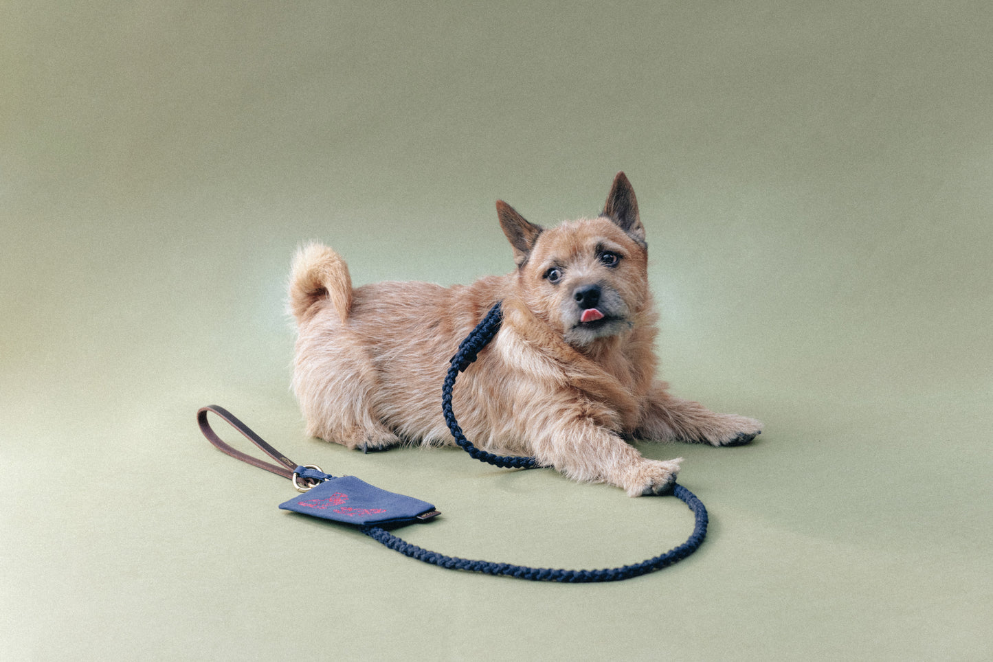 COMPAGNON LEASH NAVY