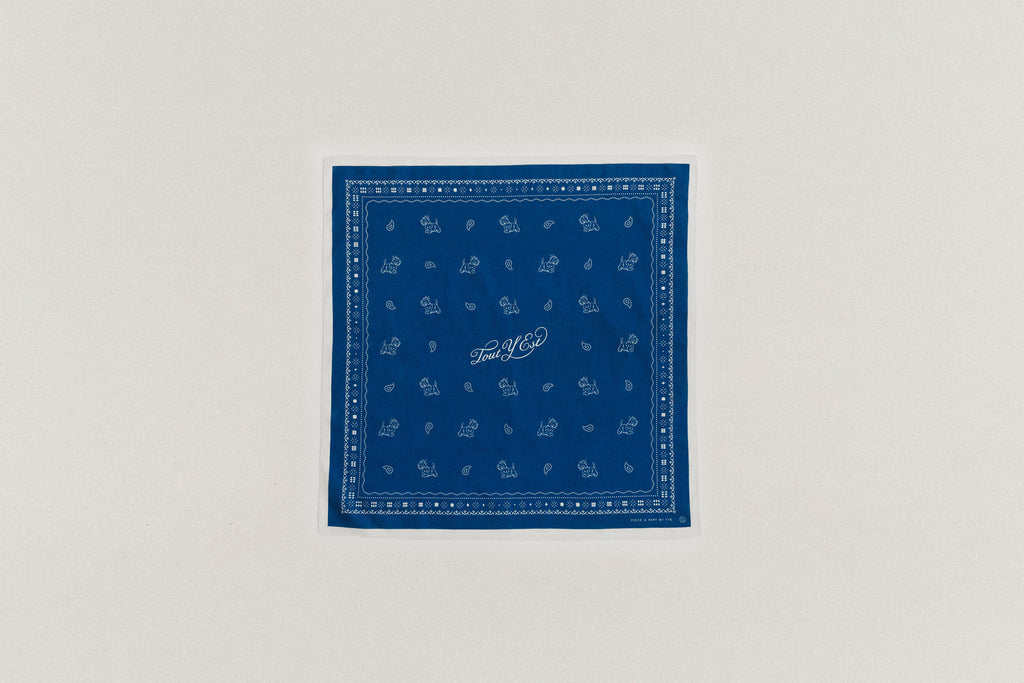 COMPAGNON BANDANA NAVY