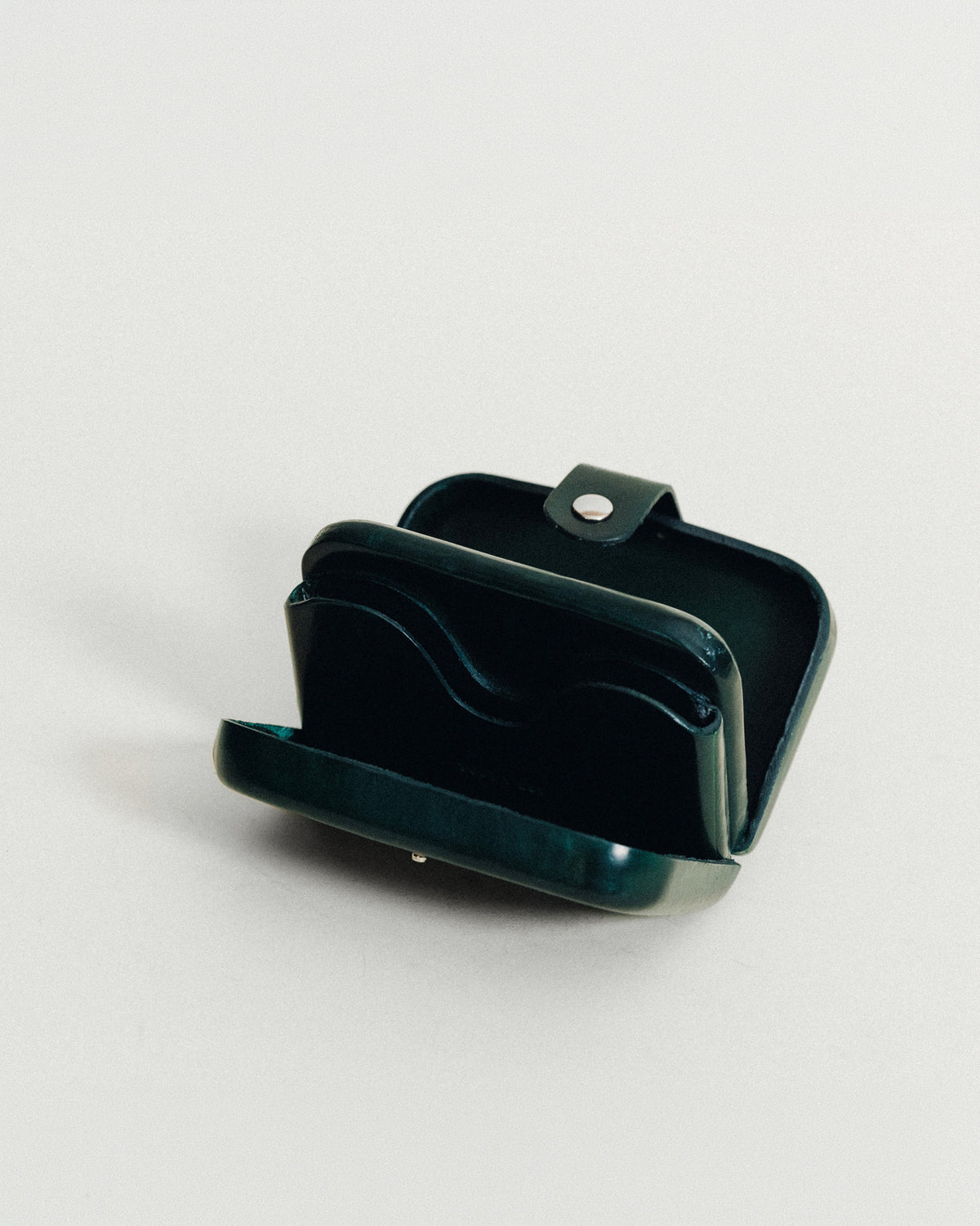 PORTEFEUILLE FLORENCE GREEN
