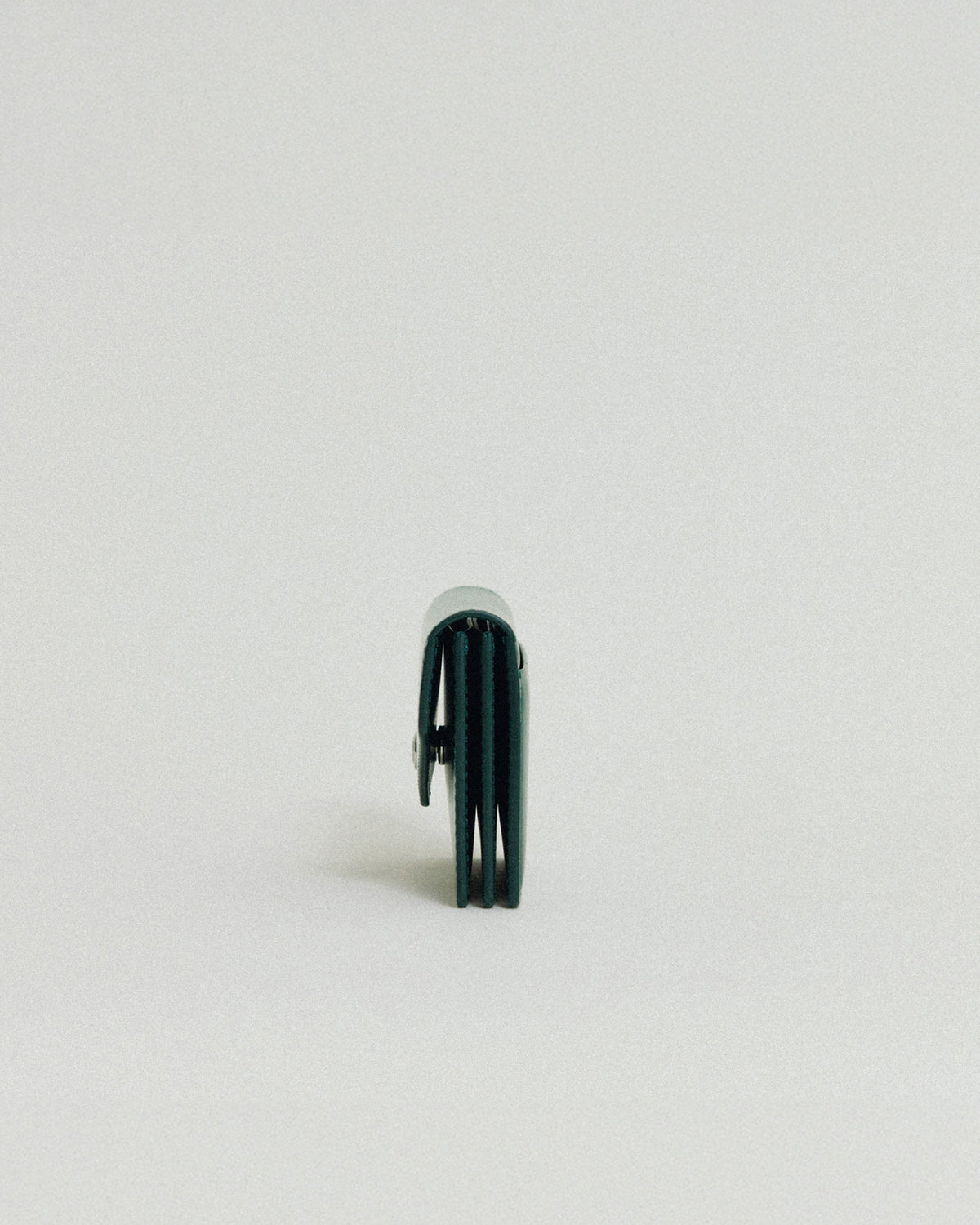 PORTE CARTES SNAP GREEN