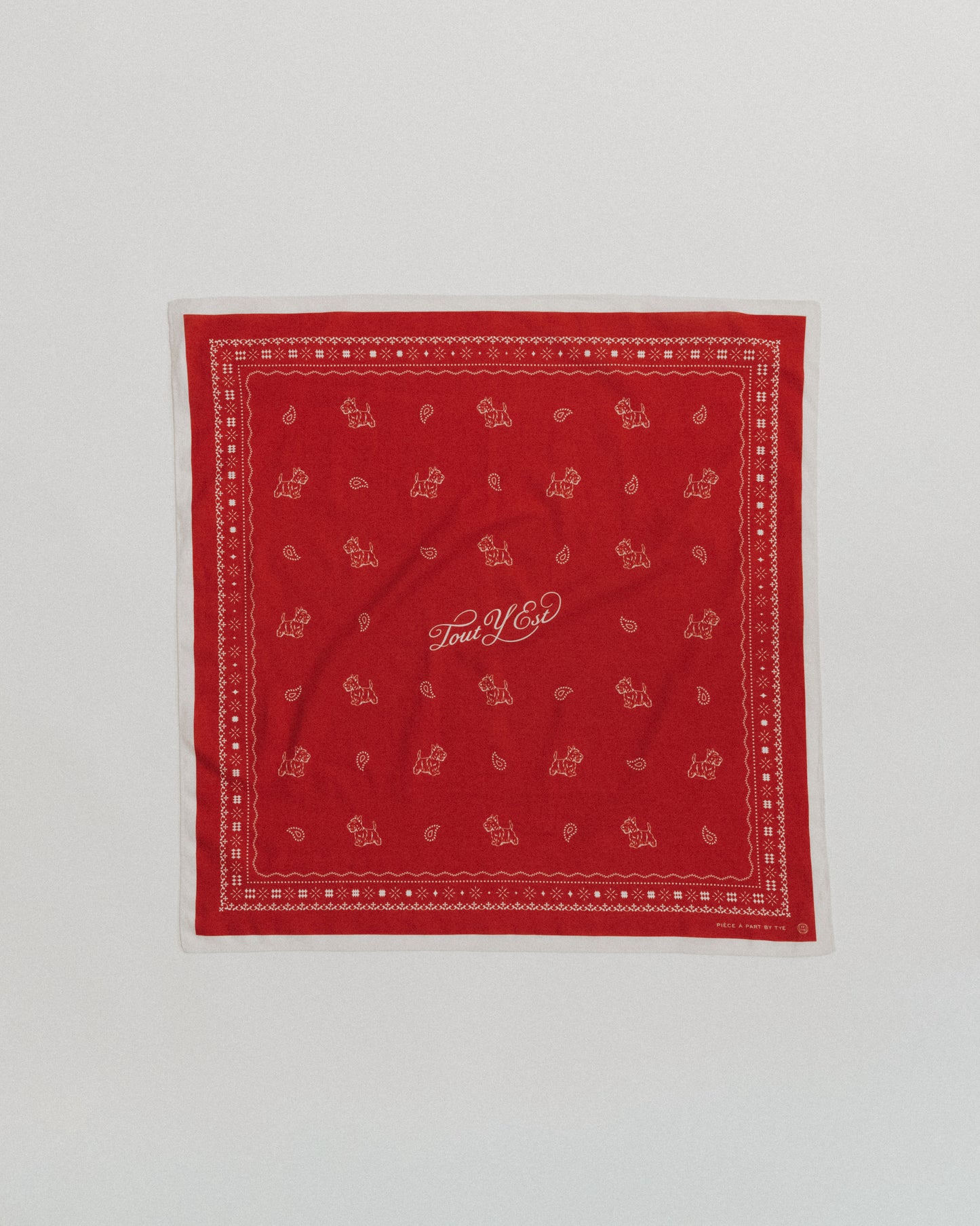 COMPAGNON BANDANA RED