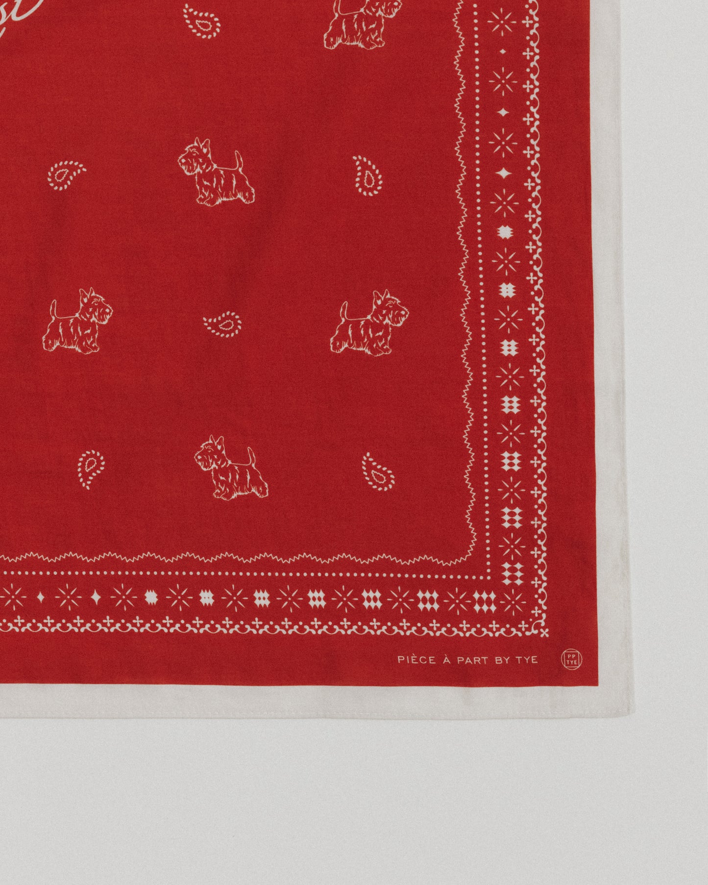 COMPAGNON BANDANA RED