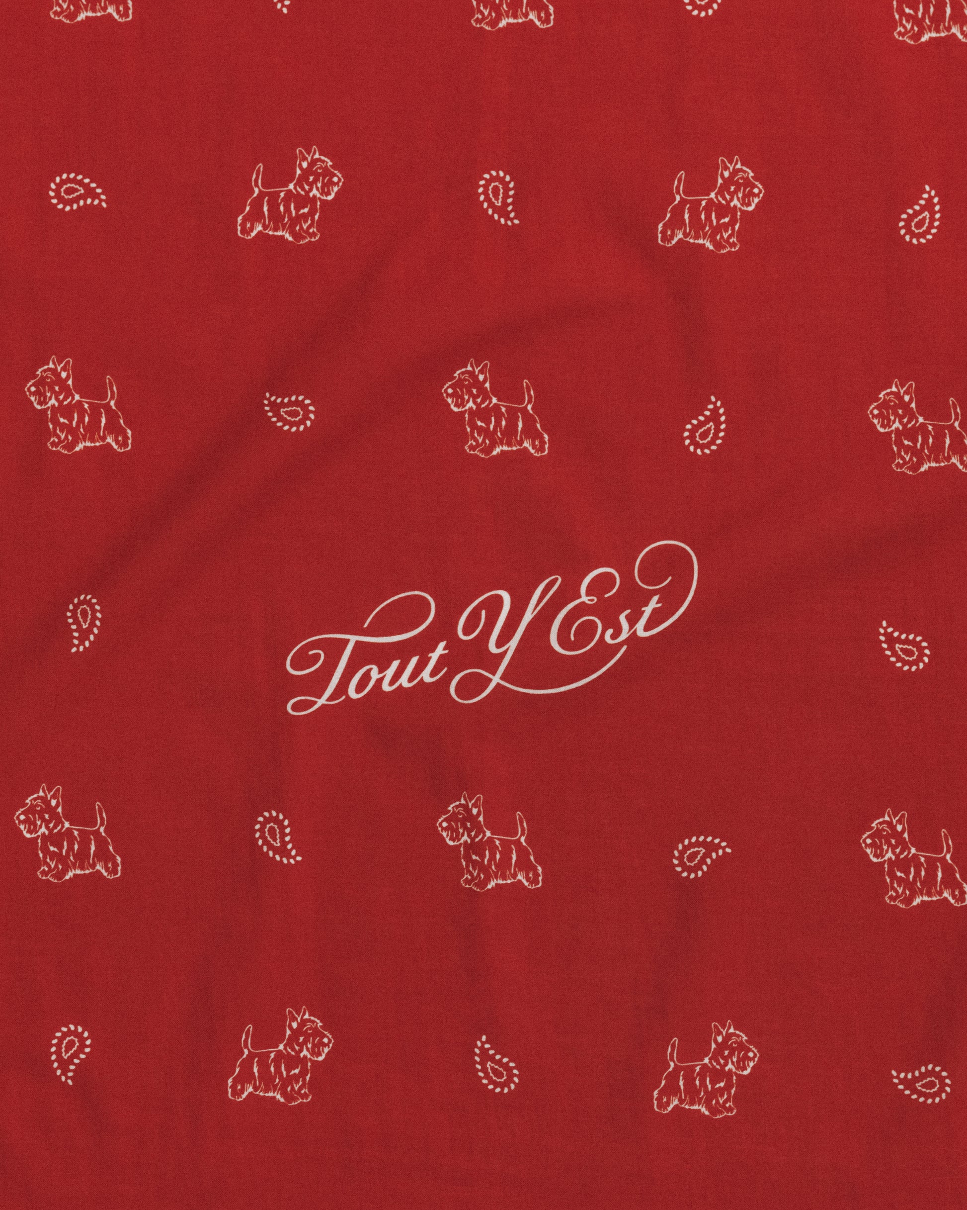 COMPAGNON BANDANA RED