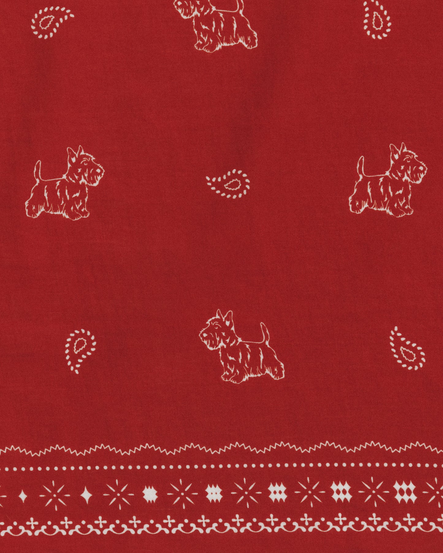 COMPAGNON BANDANA RED