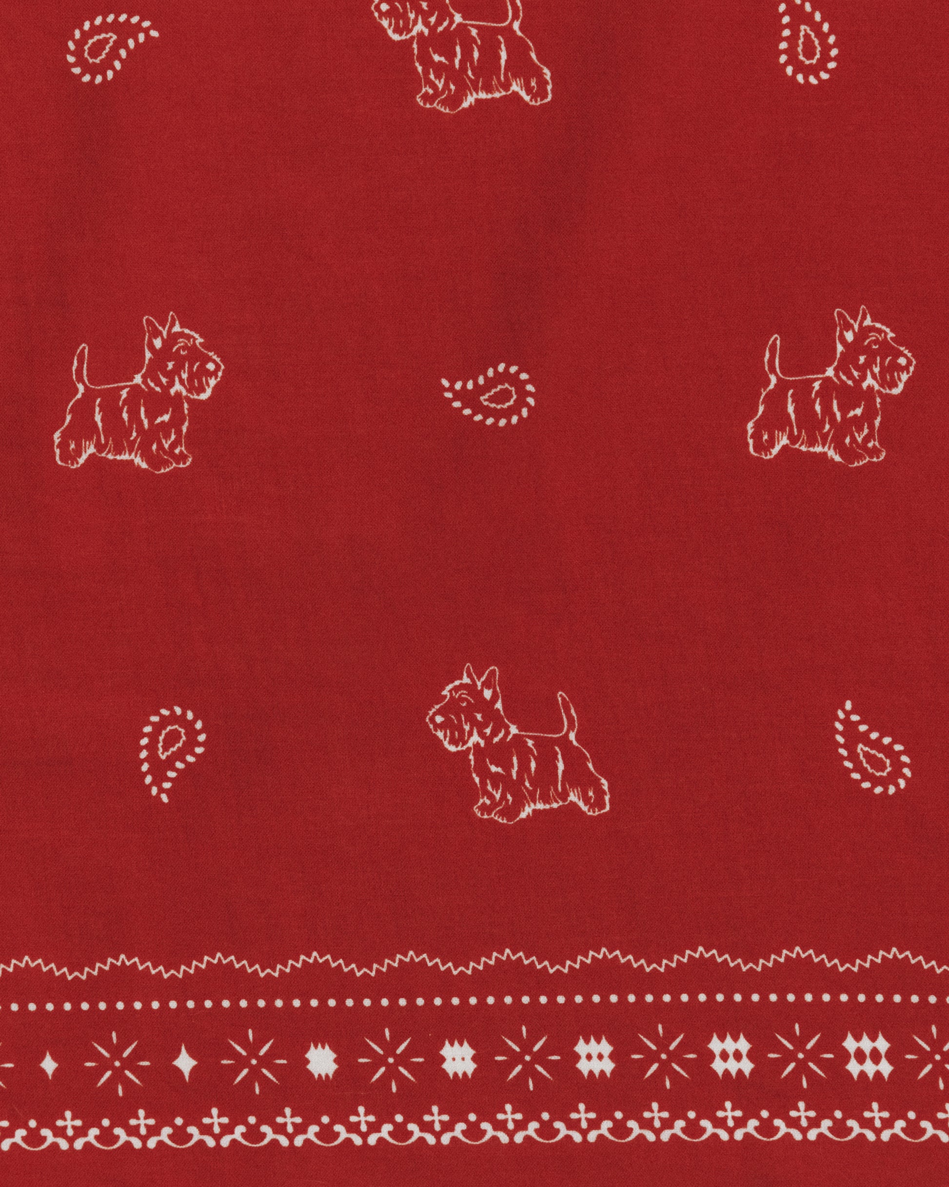 COMPAGNON BANDANA RED