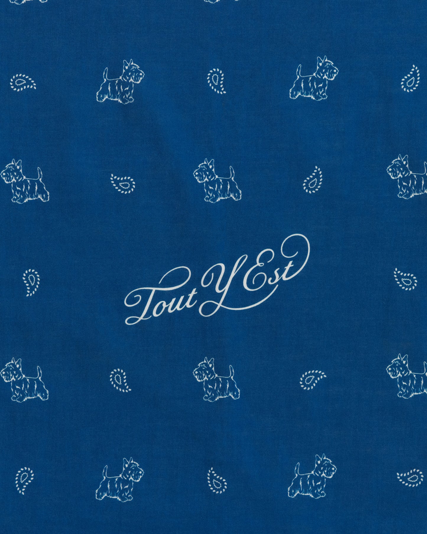 COMPAGNON BANDANA NAVY