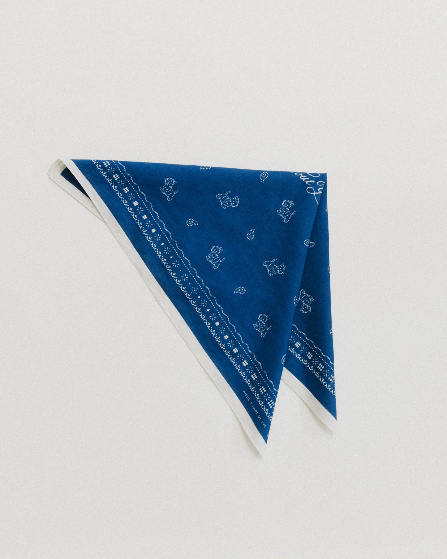 COMPAGNON BANDANA NAVY